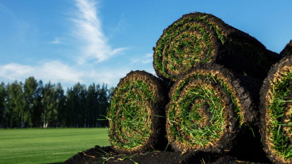 Turf Installation